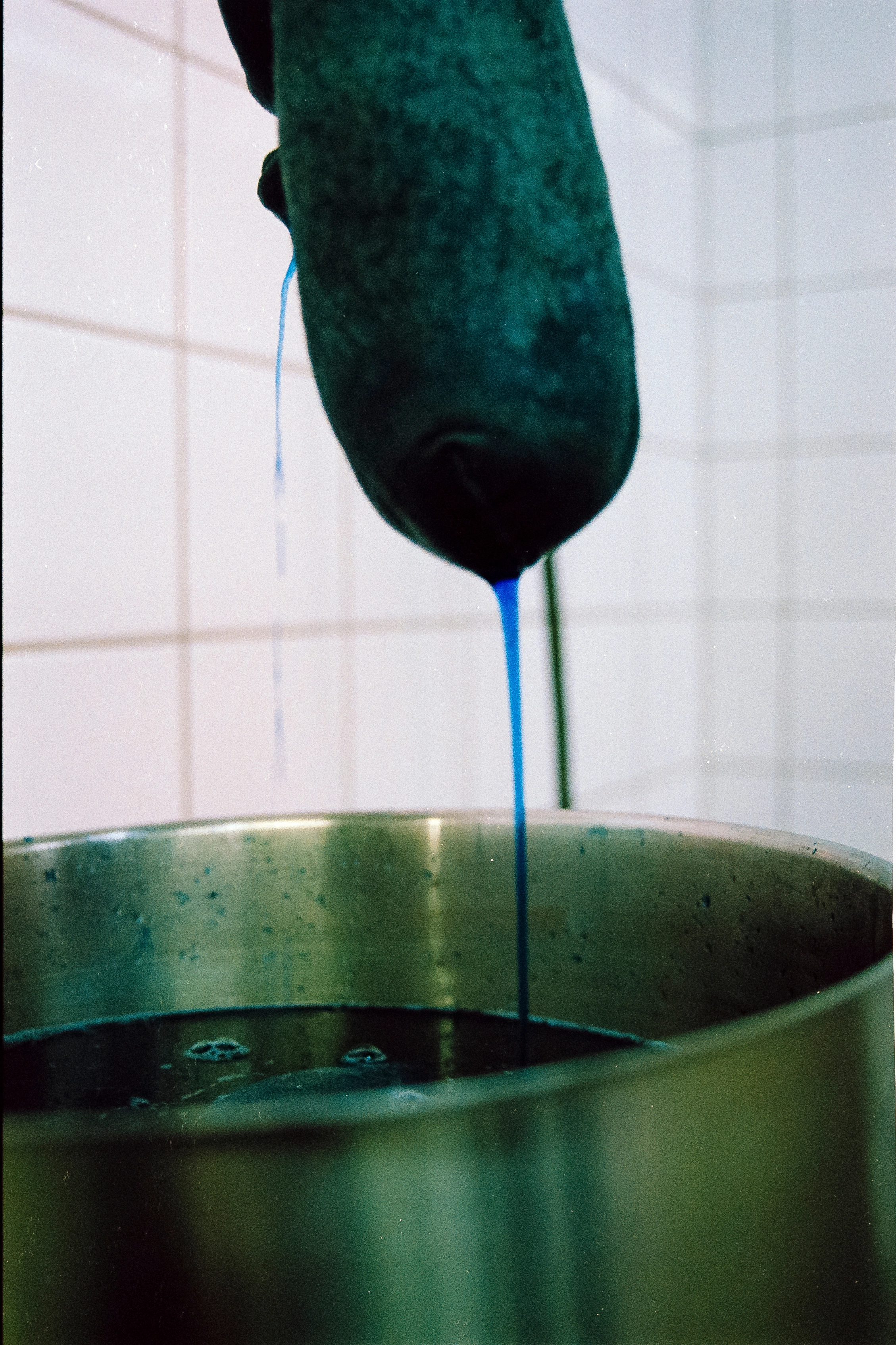 Analog photograph of wool being dyed — blue dye drips from a wet hank of wool into a metal pot.